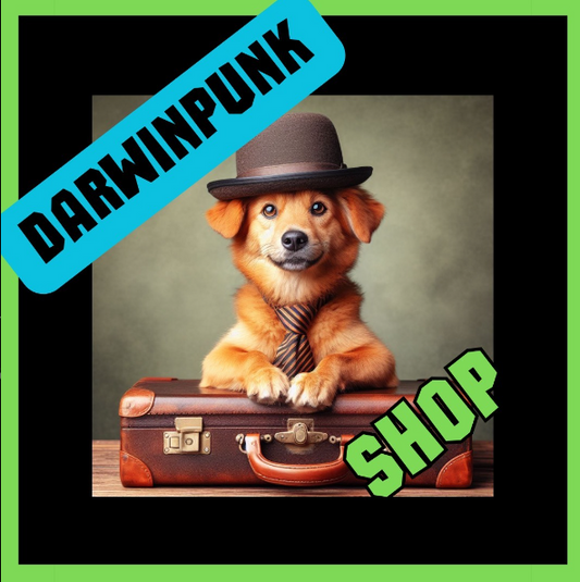 DARWINPUNK SHOP, a sua loja on line! A evolução das compras na INTERNET.