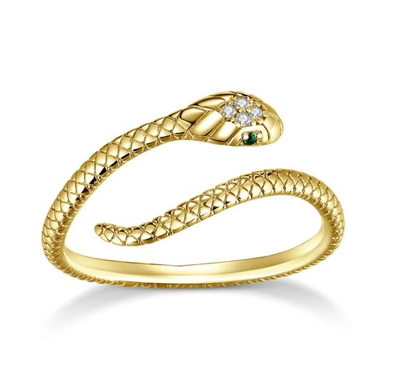 Anel Snake
