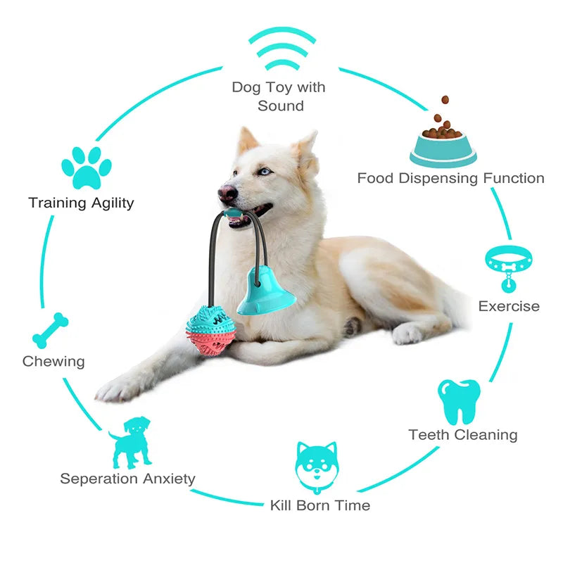 Brinquedo Interativo de bola para Cães